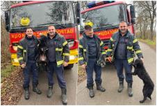 Sopot akcija spasavanja psa