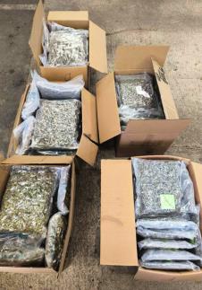 Droga zaplena zaplenjena droga