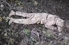 Screenshot 2025-11-30 135429.jpg