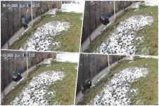 Jeziv snimak iz Novog Pazara Novi Pazar nesreća