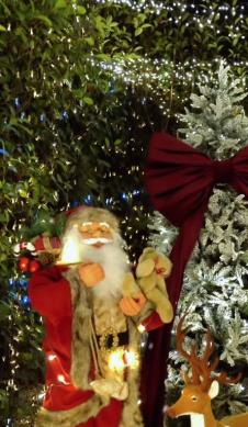 Boki 13 ukrasio dom za novogodišnje praznike