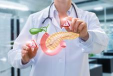 grafikči prikaz pankreasa ispred lekara u belom mantilu sa stetoskopom