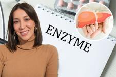 Tatjana Popović, enzimi jetre, jetra