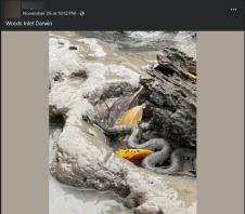 Screenshot 2025-12-03 190217.png