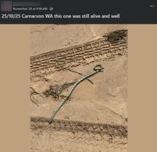 Screenshot 2025-12-03 190159.png