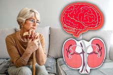 zamišljena starija osoba sedi na krevetu podbočena  štapoim/model mozga i bubrega