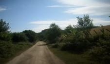 Stanojka Mitrović Ćana je odrasla u kući u šumi