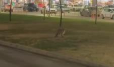 Screenshot 2025-12-07 084919.jpg