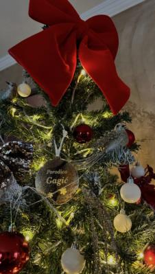 Screenshot 2025-12-07 174746.png