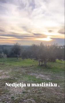 Danijela Dvornik pokazala imanje