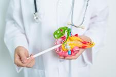 doktor u belom mantilu drži maketu pankreasa i pokazuje olovkom u pravcu žučnih kanala