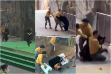 napad medveda u Kini