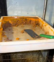 Žena se ušunjala u skladište restorana i zgrozila se prizorom (6).png