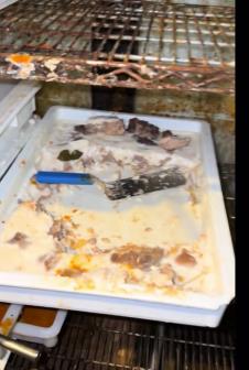 Žena se ušunjala u skladište restorana i zgrozila se prizorom (7).png