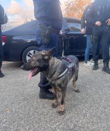 Uprava policije (2).jpg