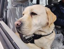 Screenshot 2025-12-10 124652.jpg