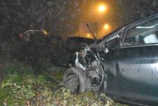 Fijesta foto s.u..JPG