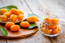 kumkvat na tacnici i u teglici