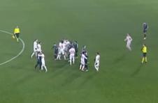 TSC Crvena zvezda frka