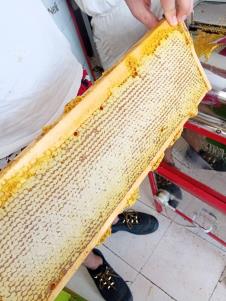 Vodnjika iz Mačkata (7).jpg