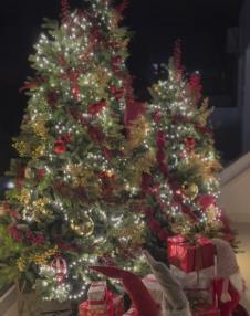 Sloba Radanović, terasa u kući