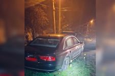 Zemun pucnjava Jevto Jevtić navijač