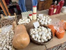 Sremska Mitrovica pijaca