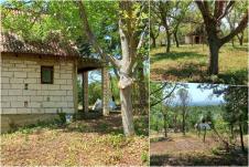 Vikendice Fruška gora