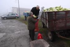 Screenshot 2025-12-22 173232.jpg