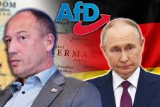 Vladimir Putin Ringo Milman altertnativa za Nemačku AFD