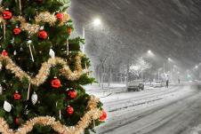 Novogodišnja jelka sneg.jpg