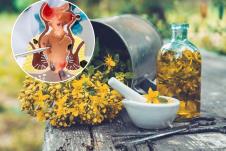 položena metalna posuda sa svežim kantarionom, ulje od kantariona, avan/hemoroidi