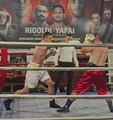 Miloš Stojanović Tigar