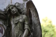 Ново за најаву.JPG