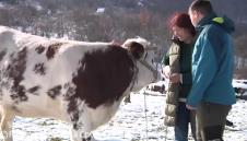 Milka Perovanović (7).png