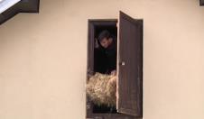 Milka Perovanović (6).png