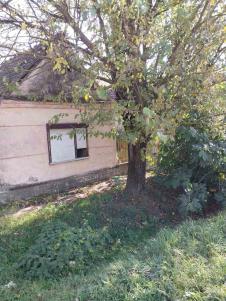 Prodaje se kuća u selu Ilinci