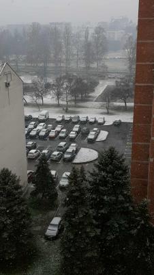 LOZNICA - Biće ga i sutra.jpg