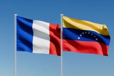 Francuska Venecuela zastava