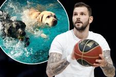 Vladimir Micov  2.jpg