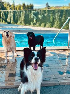 WhatsApp Image 2026-01-03 at 09.27.49 (1).jpeg