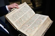 vukovar dalj marko karovic (56).jpg