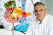 dr Dušn Vešović/model pankreasa