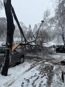 drvo blok 29 (2).jpeg