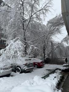 drvo blok 29 (1).jpeg