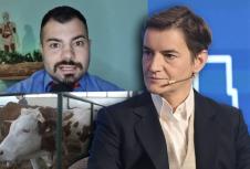 Ana Brnabić