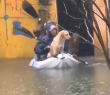 Devojke spasile pse od poplave u Blacama.