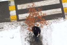 LOZNICA - Po badnjak po snegu.JPG