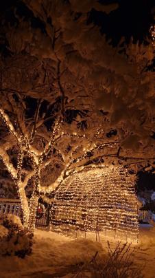 WhatsApp Image 2026-01-06 at 11.19.27 (2).jpeg