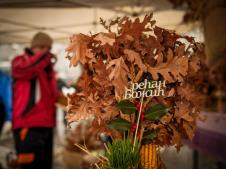 Badnji dan badnjak pijaca